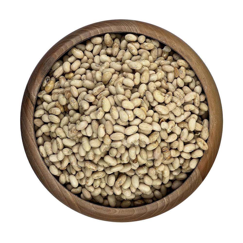 آجیل سویا سرشار از پروتئین