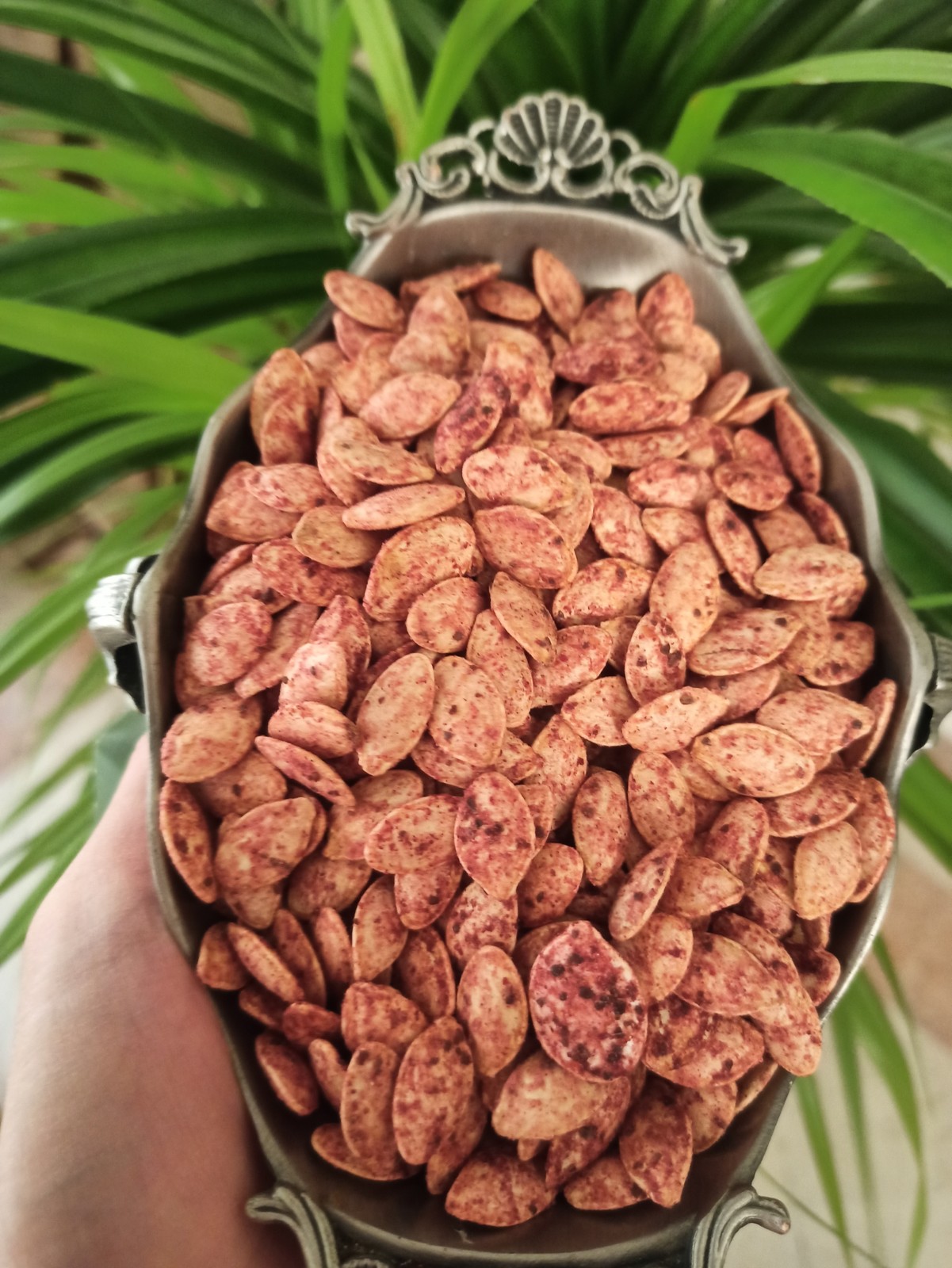تخمه کدو سماقی