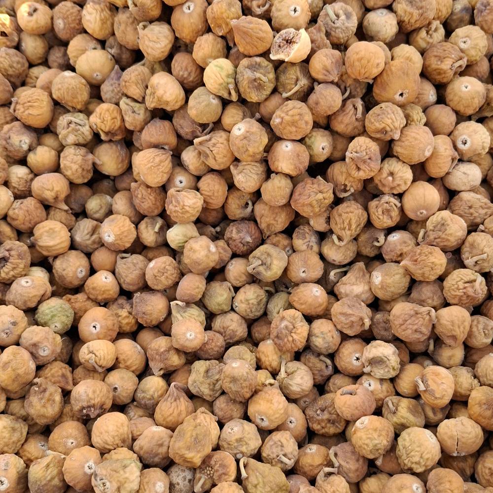 انجیر ریز اقتضادی (مناسب خیساندن)
