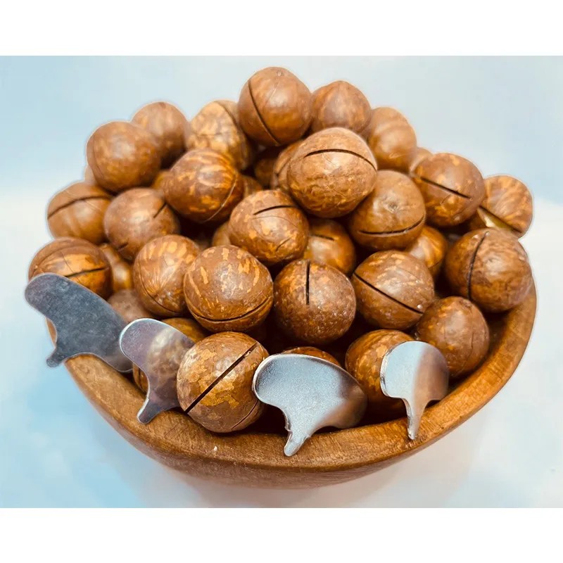 ماکادمیا (فندق استرالیایی) ۵۰۰ گرمی - آجیل و خشکبار وحید