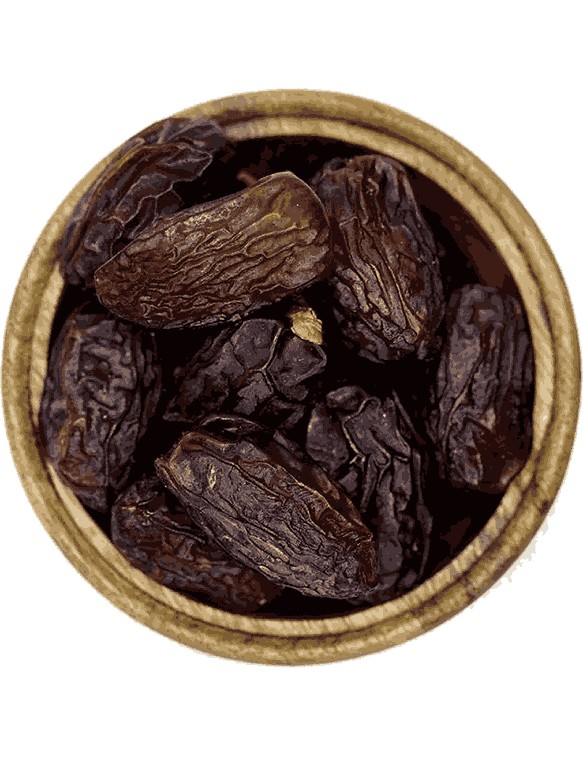 خرما مجول مراکش