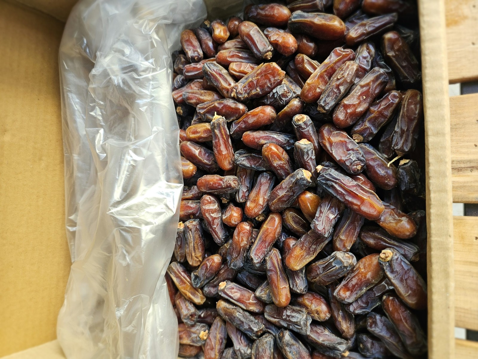 خرما خوزستان