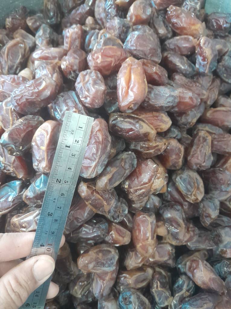 خرمای کبکاب آجیلی فله سوپر سلکت حبه چهار سانتی