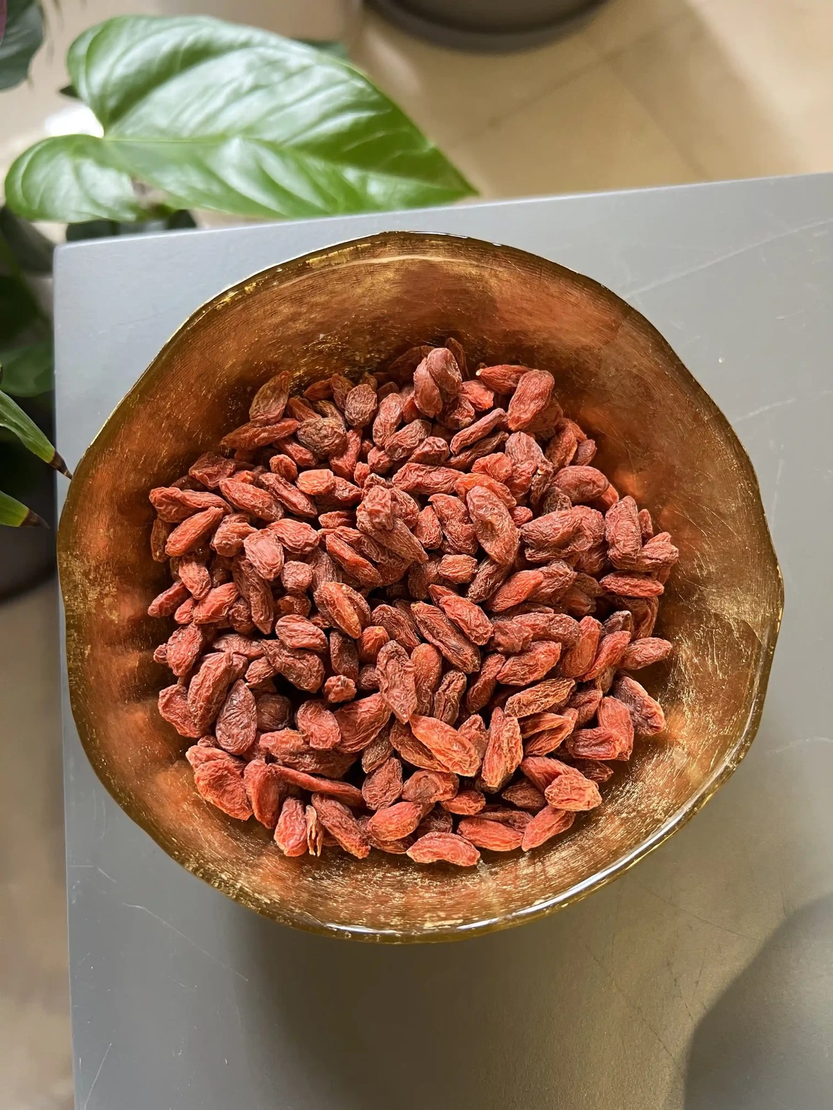 گوجی بری