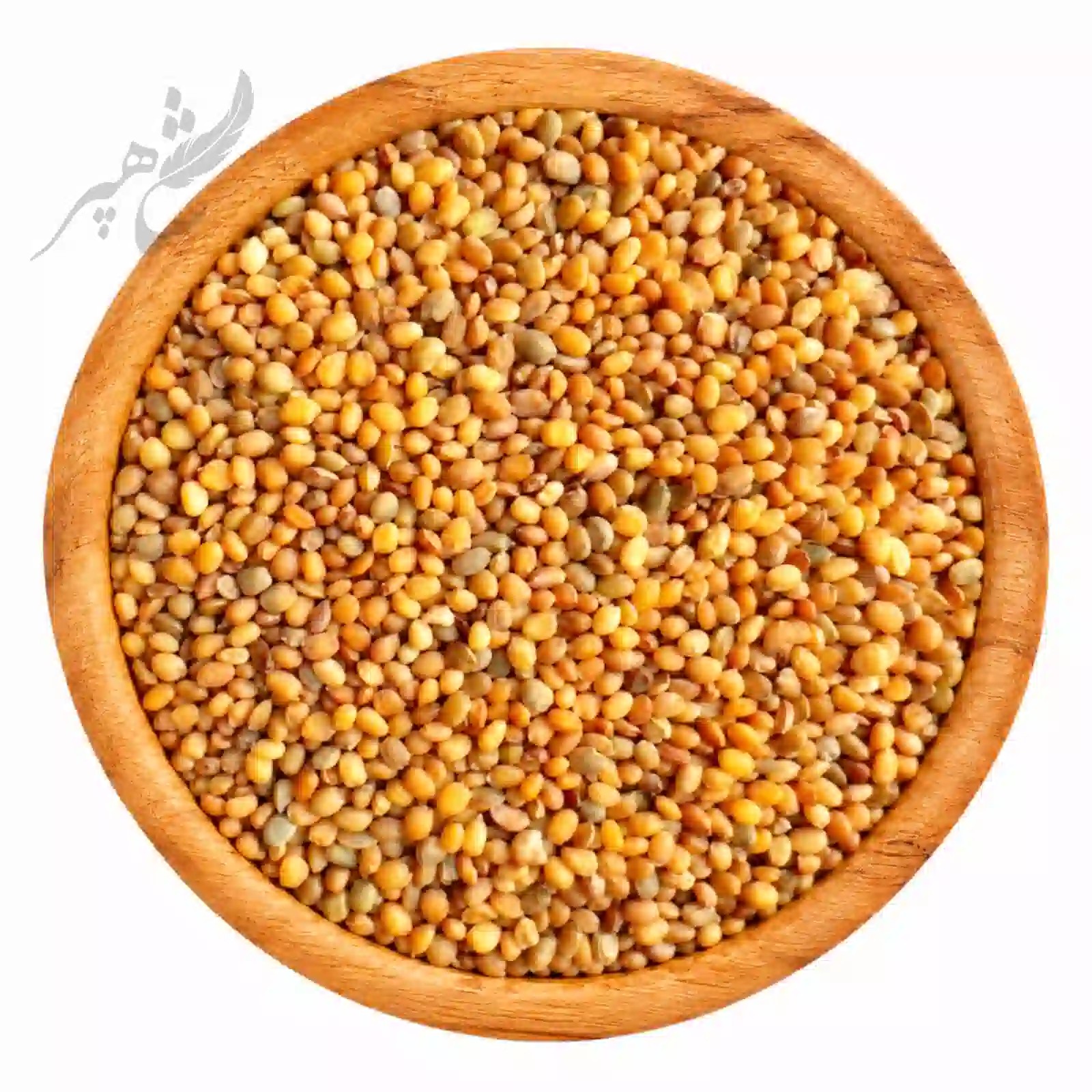تخم منداب