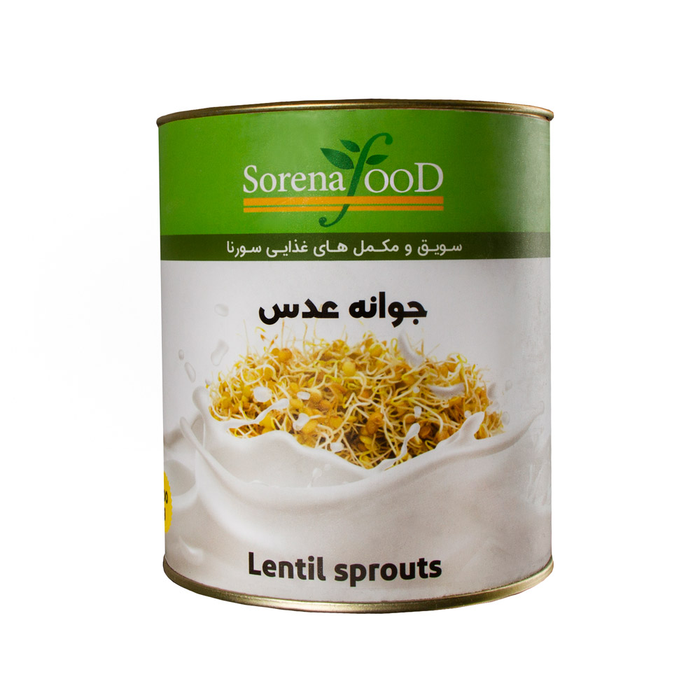 جوانه عدس