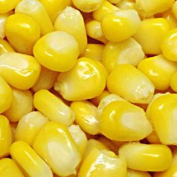 ذرت اعلا سوپر شیرین 500 گرم
