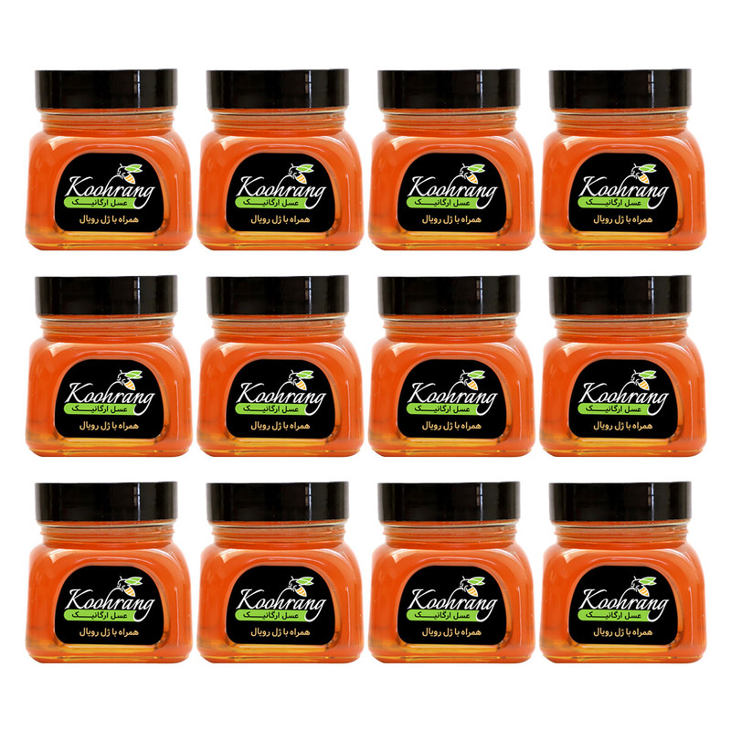 عسل گون گز با ژل رویال رویال کندو کوهرنگ - 450 گرم بسته 12 عددی