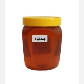 عسل چند گیاه رست بسته