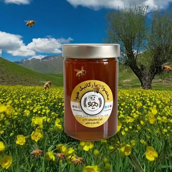 عسل زول (( عسل کوهستان )) یک کیلویی