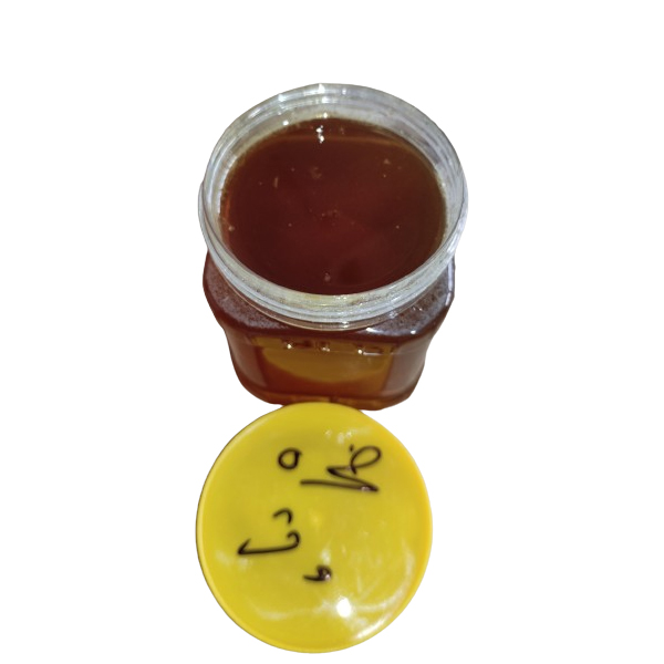 عسل صخره وحشی 500 گ
