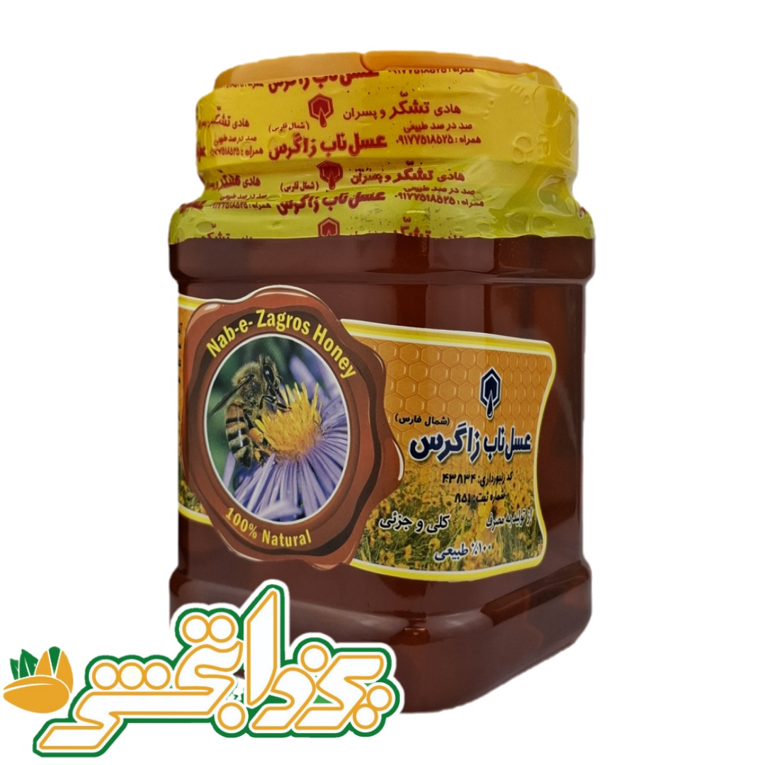 عسل کنار زاگرس (یک کیلو)