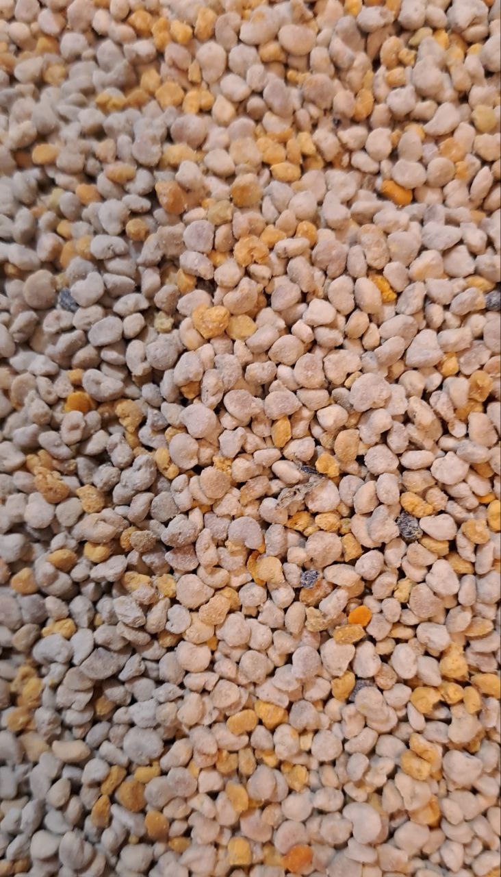 گرده گل ایرانی 70گرمی