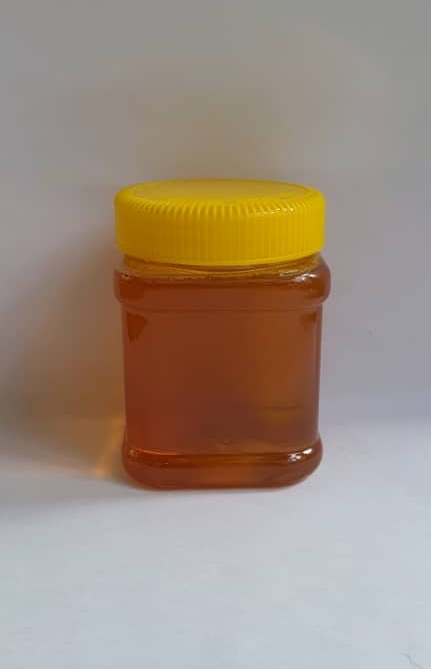 عسل گون اویشن ۵۰۰ گرمی