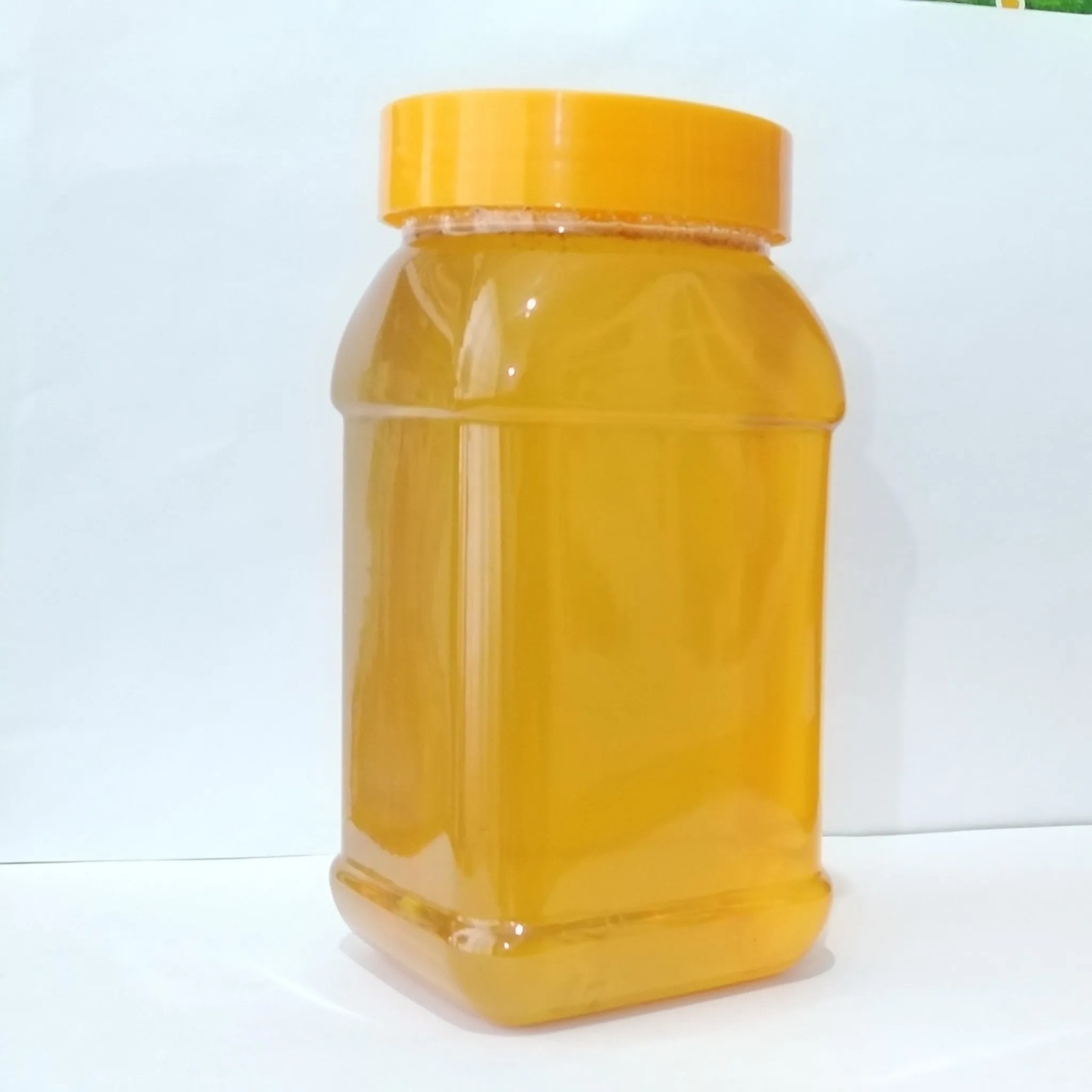 عسل گون بدون تغذیه