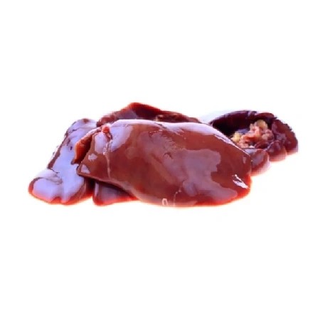 جگر بوقلمون جوجه / تازه