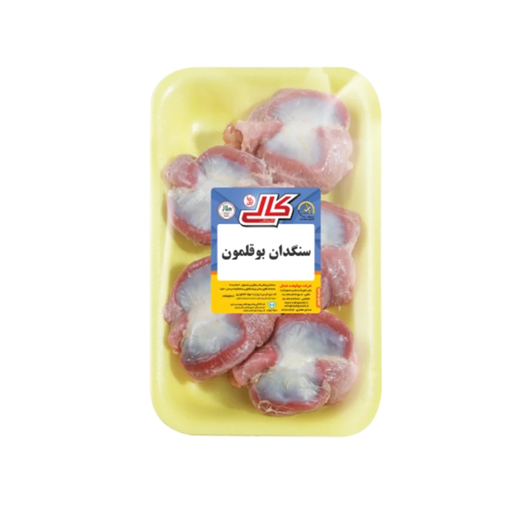 سنگدان بوقلمون