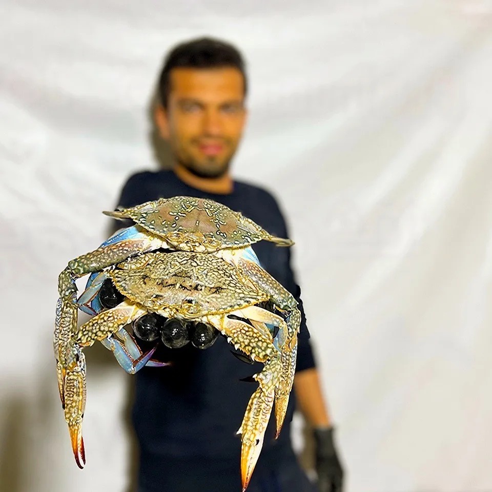 خرچنگ