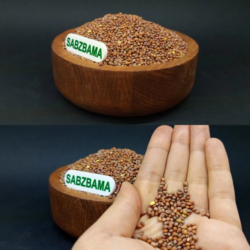 تخم ترب خوراکی