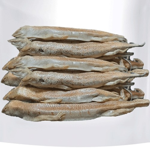 ماهی سمنقور
