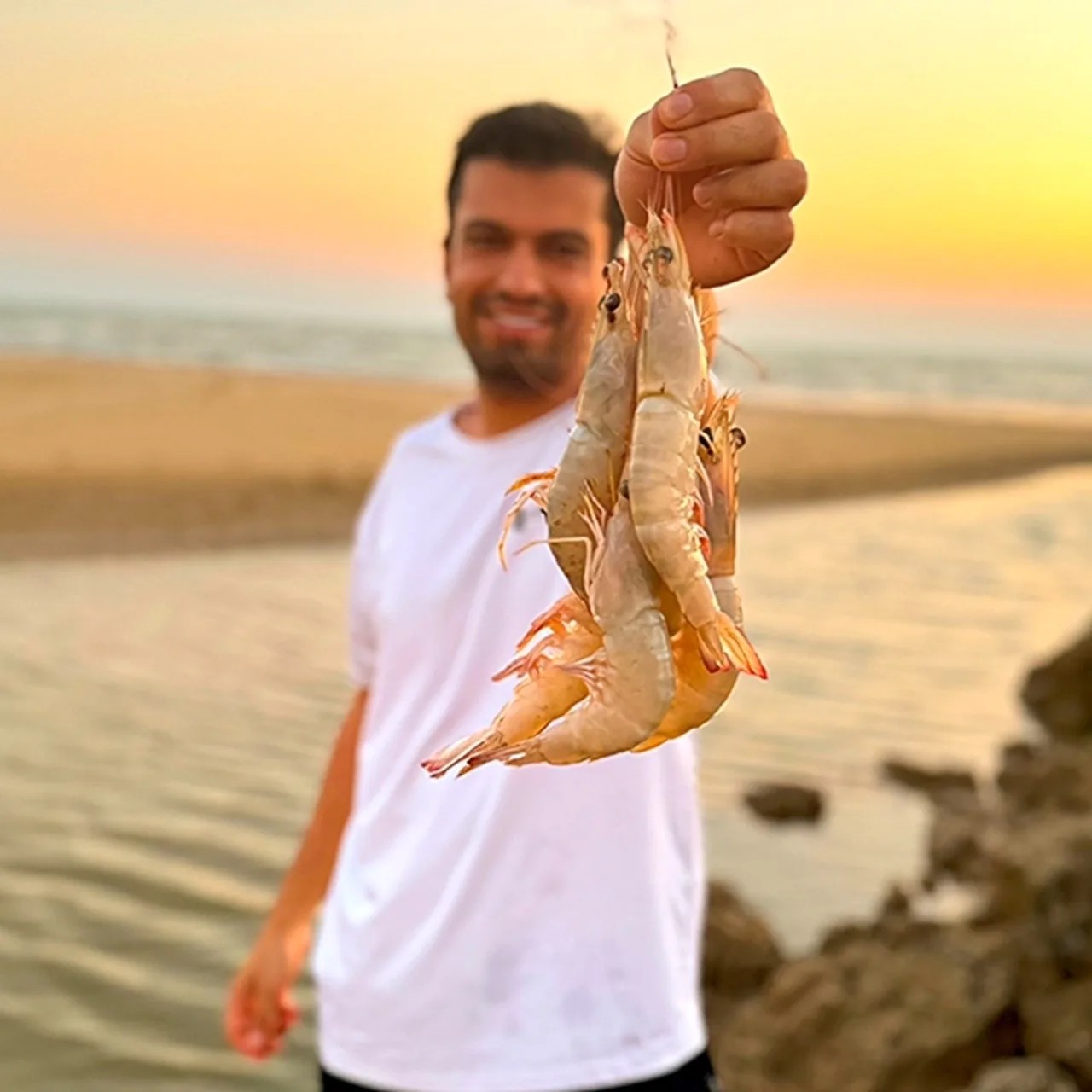 میگو نزدیک شاه سایز 20-30