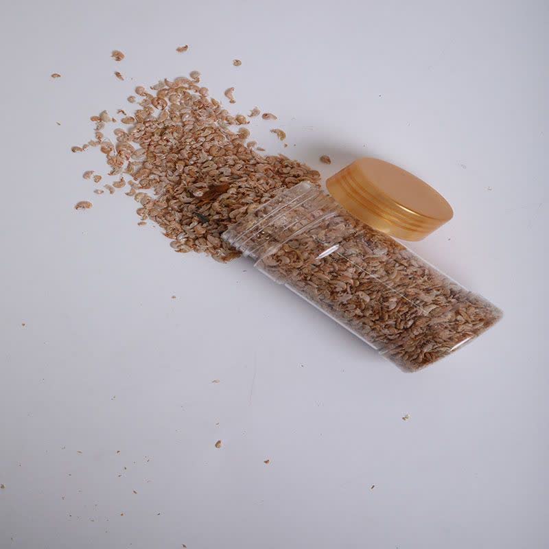 میگو گاماروس