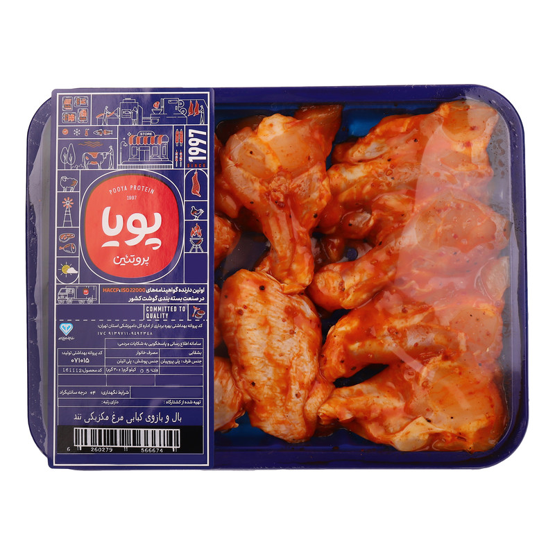 بال و بازو مکزیکی پویا پروتئین - 500 گرم