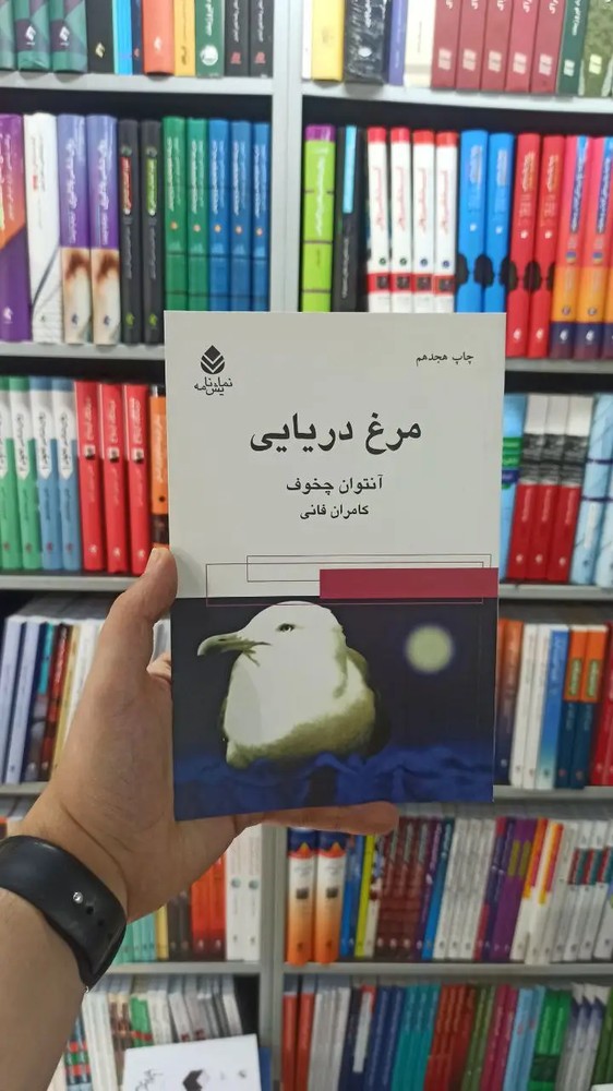 مرغ دریایی قطره