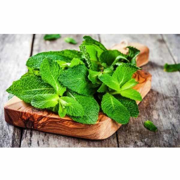 اسفناج دسته 2 کیلوگرمی