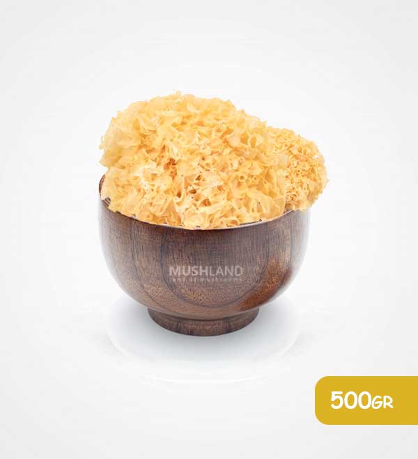 قارچ ترملا 500 گرم