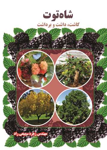 شاه توت کاشت، داشت و برداشت