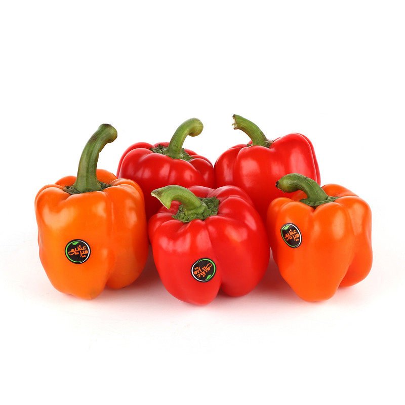 فلفل دلمه رنگی Fresh وزن 500 گرم