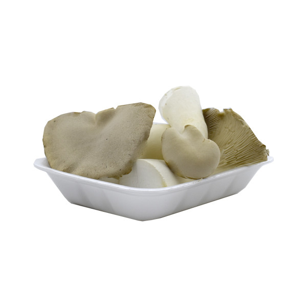 قارچ شاه صدف درجه یک - 200 گرم