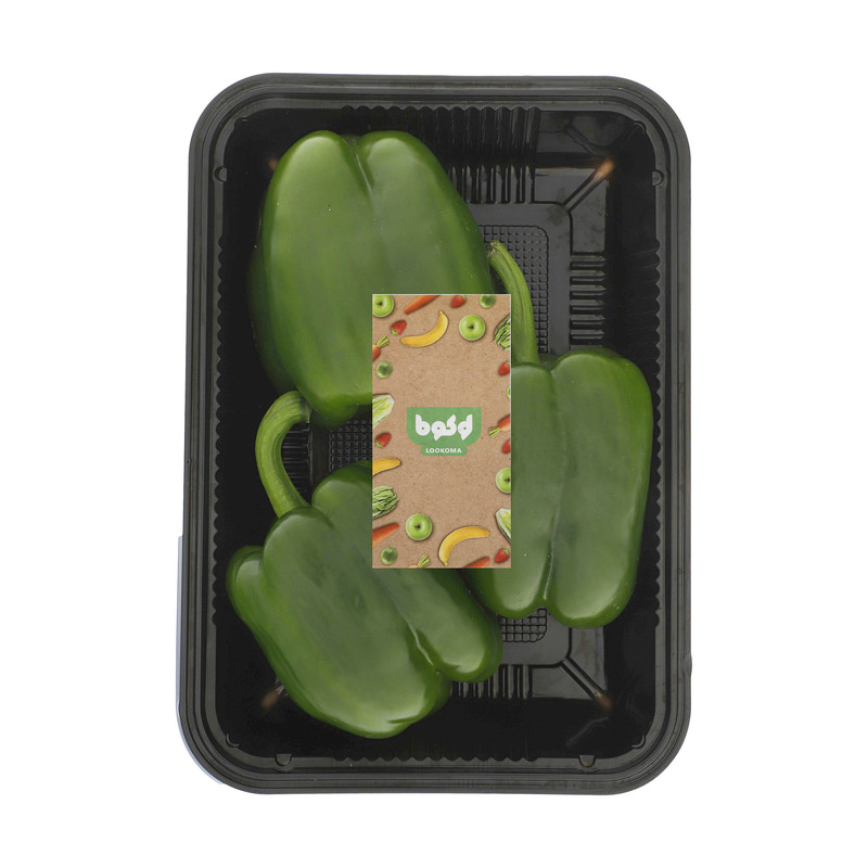 فلفل دلمه سبز Fresh مقدار 500 گرم