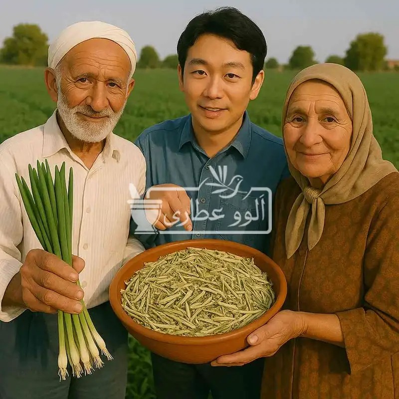 پیازچه خشک 100 گرمی هودکا