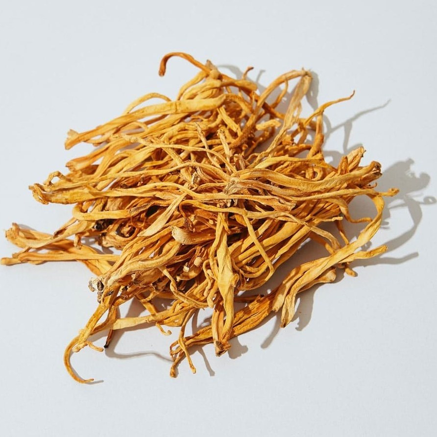 قارچ کوردیسپس