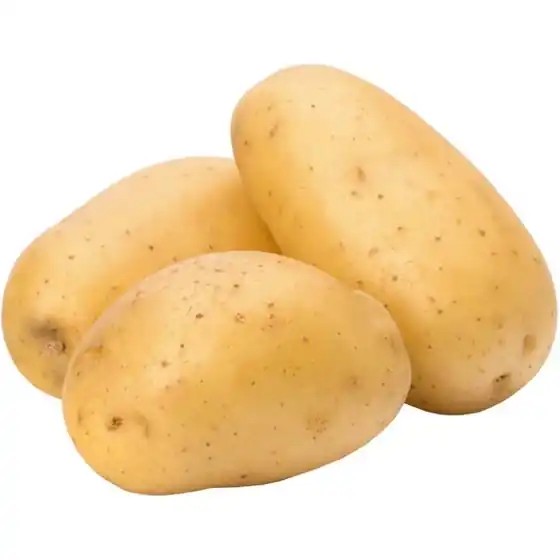 سیب زمینی ممتاز