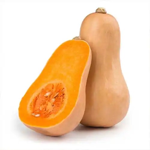 کدو حلوایی ممتاز