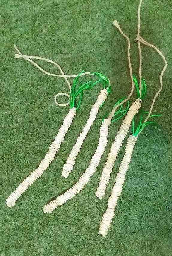 هویج حصیری خرگوش و خوکچه