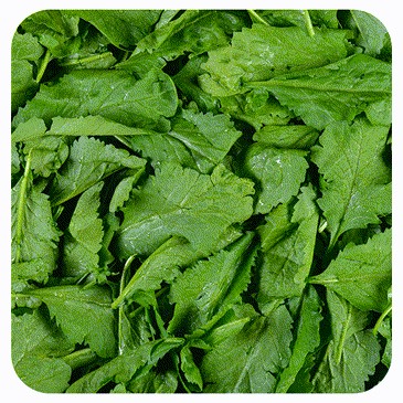 شاهی تازه 200 گرم