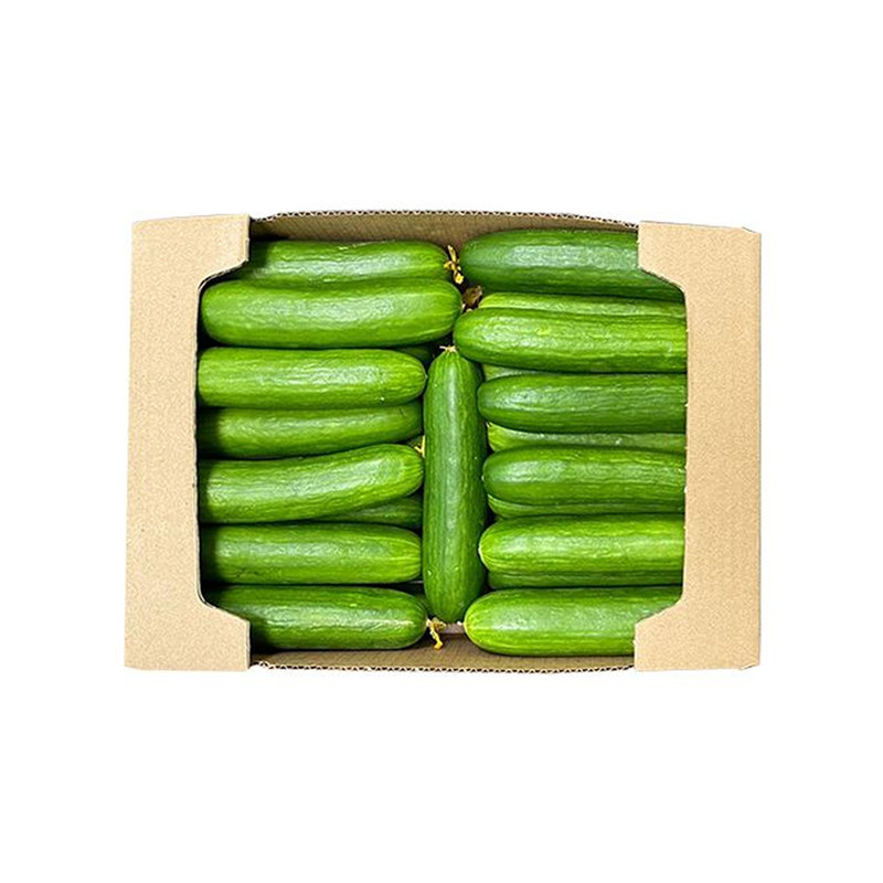 خیار قلمی گلخانه‌ ای - 10 کیلوگرم