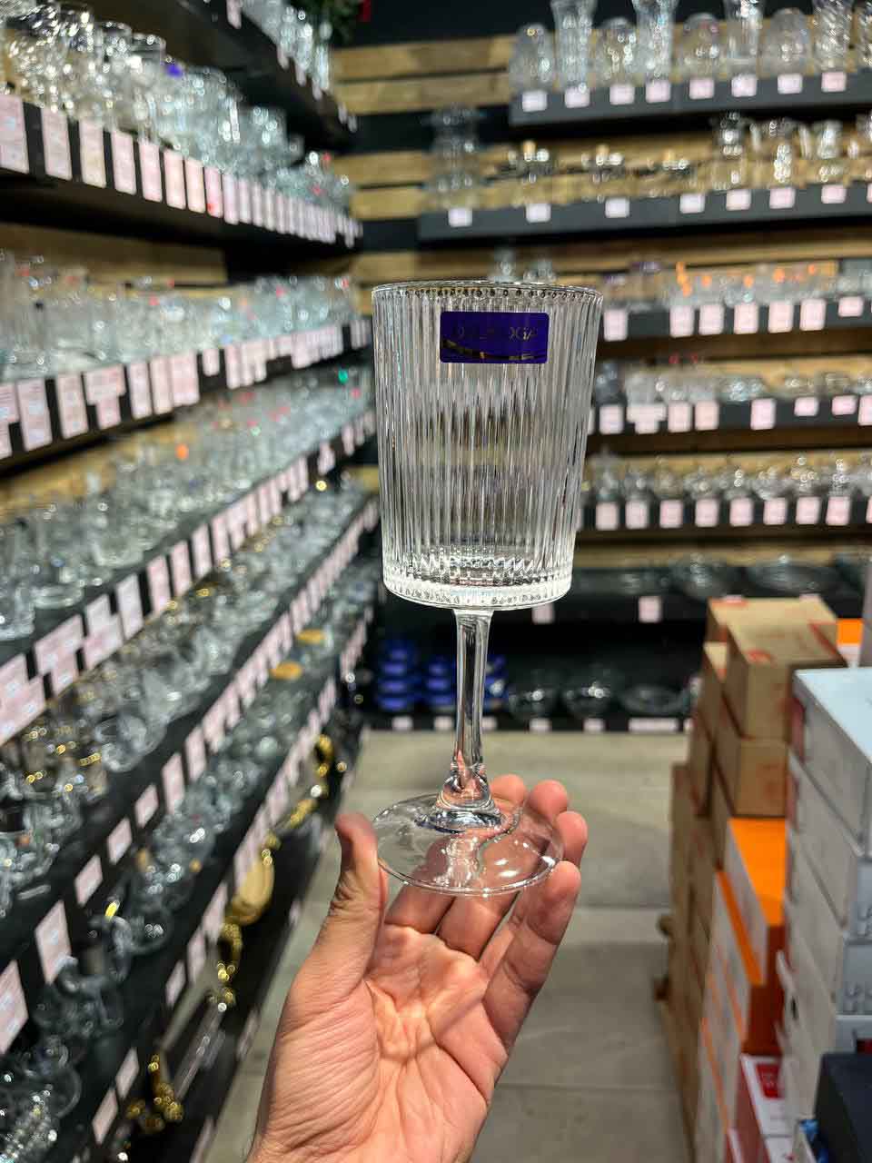 گیلاس شیاردار متوسط دلی سوگا