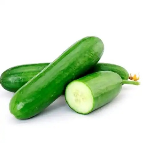 خیار گلخانه ای