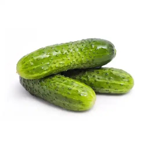 خیار اصفهان