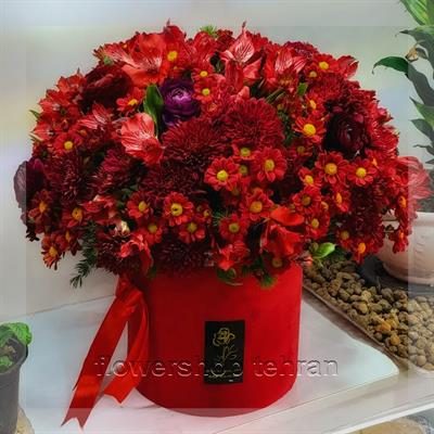 سفارش نارنج گل با ارسال سریع و بسته‌بندی شیک