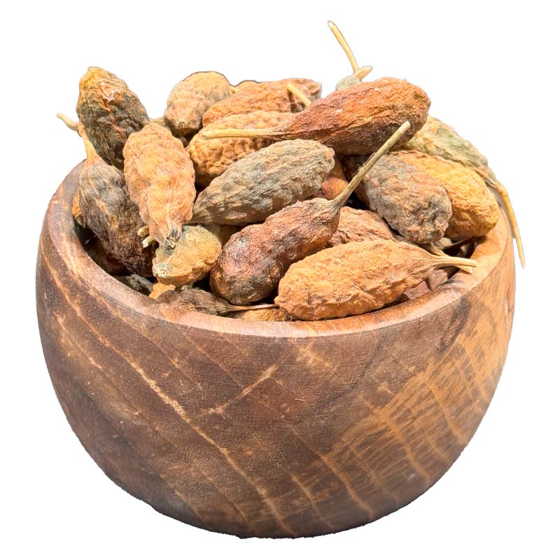 هندوانه کوهی
