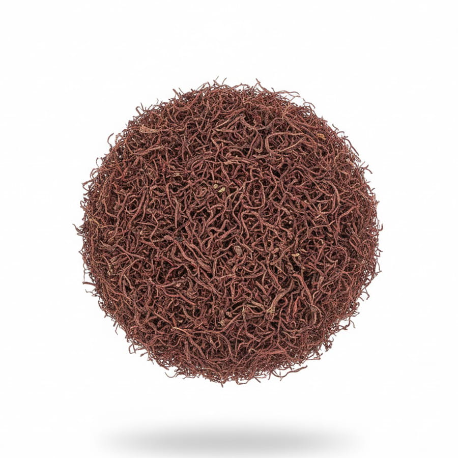 رنگ دهنده چای (دمنوش لبو)