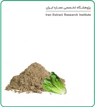 عصاره تخم کاهو خشک یا پودری