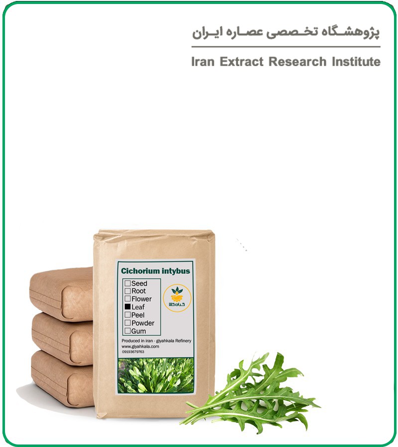 برگ کاسنی خشک فله