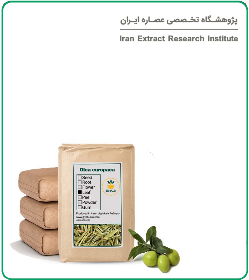 برگ زیتون خشک فله